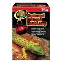 ZOOMED Lampe Chauffante Infrarouge Nocturne 75W