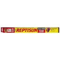 ZOOMED Reptisun T5 HO 10% UVB 550mm 24W