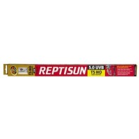 ZOOMED Reptisun T5 HO 5% UVB 550mm 24W