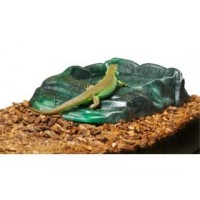 ZOOMED Vasque Repti Ramp Bowl L 450ml