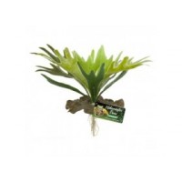 ZOOMED Plante artificielle Naturalistic Staghorn Fern