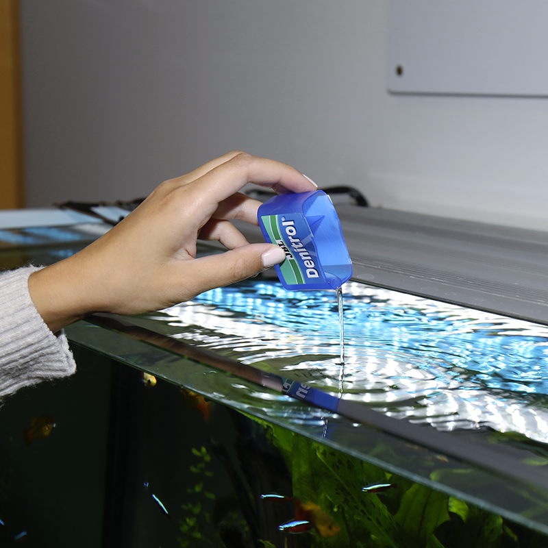 JBL Denitrol 100ml, Activateur de bactéries pour l'introduction de poissons  dans les aquariums d'eau douce et d'eau de mer