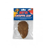 ZOOMED BETTA Feuille de catappa