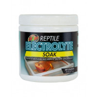 ZOOMED ELECTROLYTE SOAK 227g