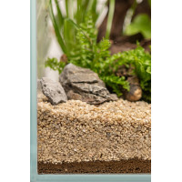 Substrate DENNERLE PLANT CARE