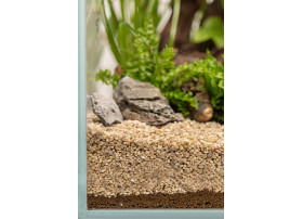 Substrate DENNERLE PLANT CARE