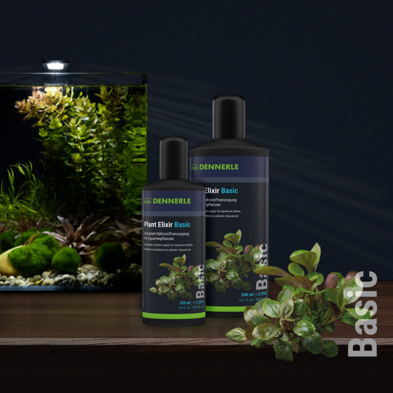 EASY-LIFE EasyCarbo Bio 100 ml source naturelle de carbone liquide pour  plantes d'aquarium - Soins des plantes/Compléments nutritifs -   - Aquariophilie