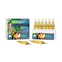 BioDigest 12 ampoules