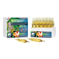 BioDigest 30 ampoules