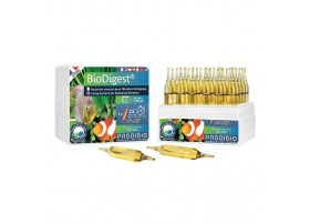 BioDigest 30 ampoules