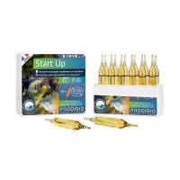 Start Up 12 ampoules