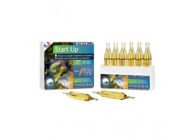 Start Up 12 ampoules