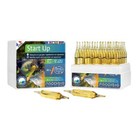 Start Up 30 ampoules