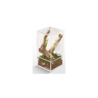 REPTIZOO BOITE INSECTES ACRYLIQUE 10.2x10.2x20.3cm