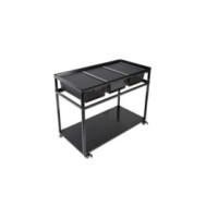 REPTIZOO Table avec roulettes + bac de rangement 92.5 x 46.8 x 70 cm