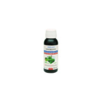 Green Scape 100ml