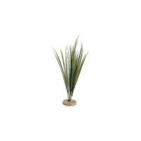 TERRA HERBE 65cm