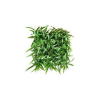 TERRA TAPIS HERBE 32cm