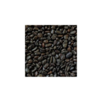 DUPLA Ground nature Black Pebbles mini 10 kg