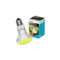 REPTIZOO Lampe Basking Spot Daylight 150W (Neodymium)