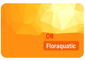 3.Carte Floraquatic Or